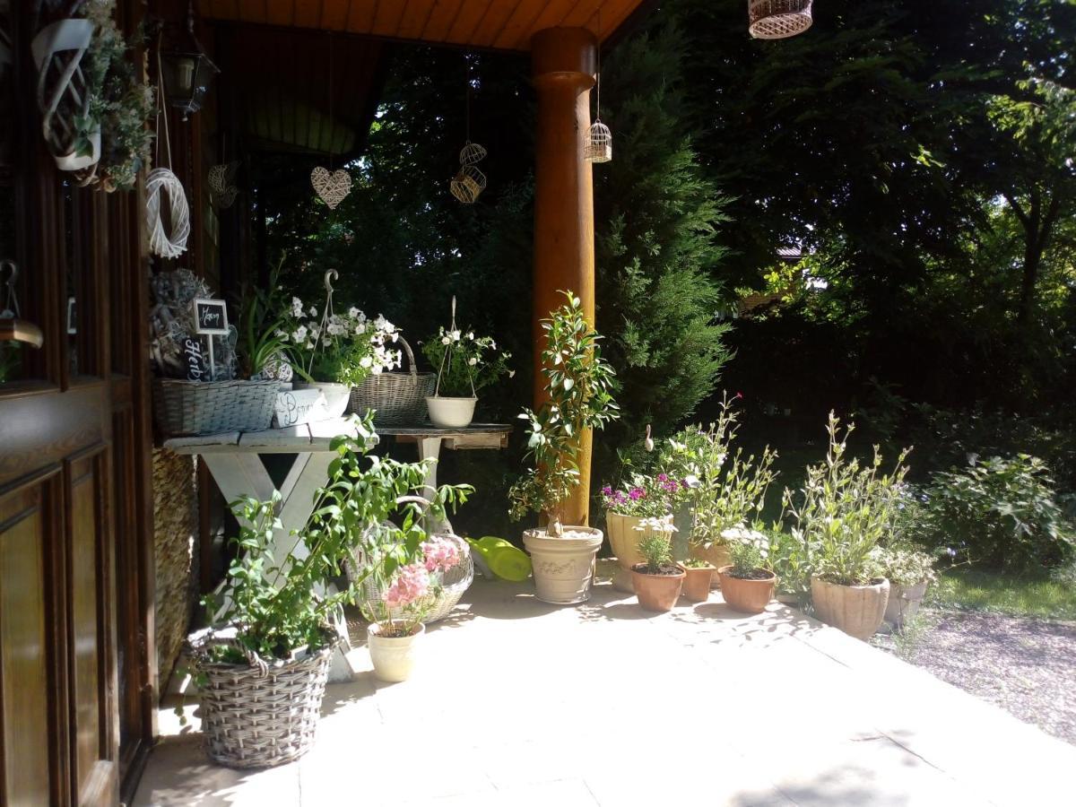 Roztoczanski Dworek Zamość Exterior foto